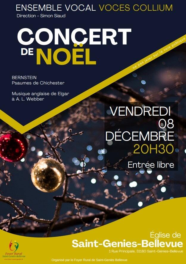 Concert de Noël Voces Collium-min (1) compressée