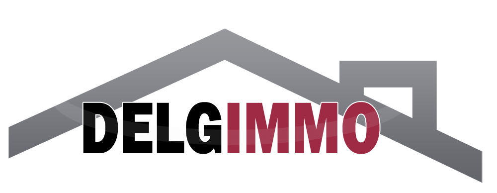 logo_delgimmo entete