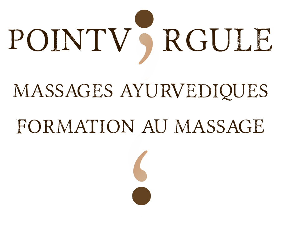 point virgule_logo2w