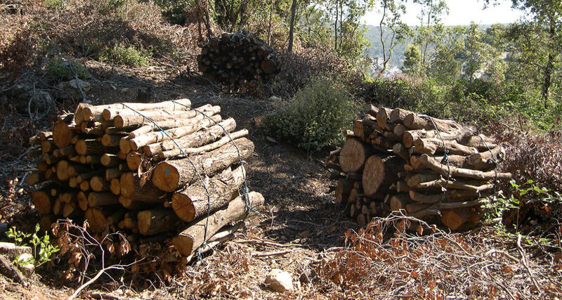 bois de chauffage
