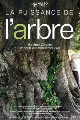 La puissance de l’Arbre