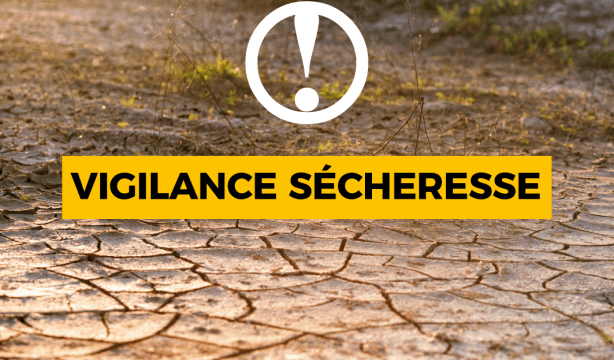 vigilance sècheresse